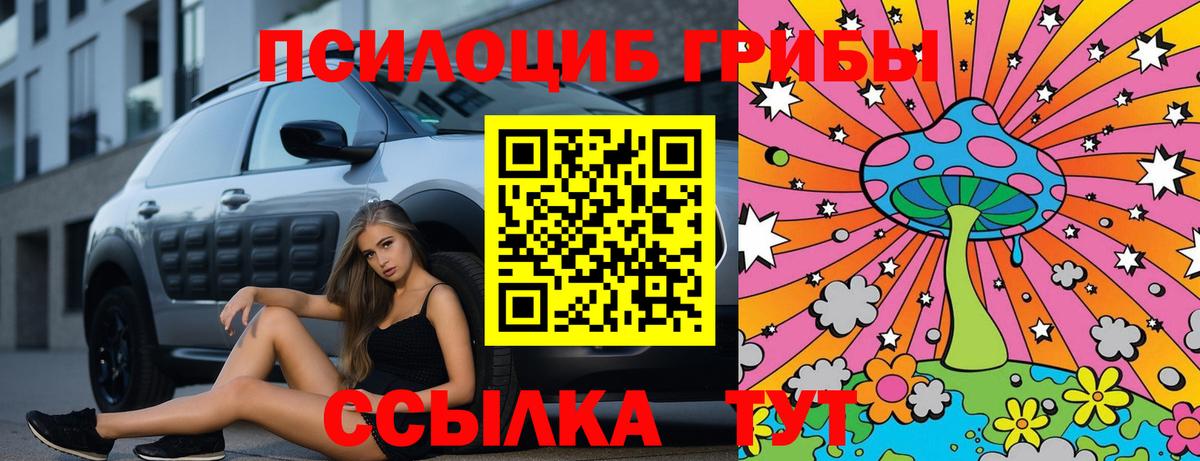 Чайковский  Галлюциногенные грибы мухоморы  Псилоцибиновые грибы Psilocybe  Вход с VPN 