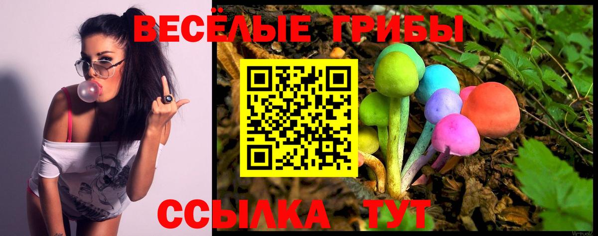 Галлюциногенные грибы прущие грибы Чайковский